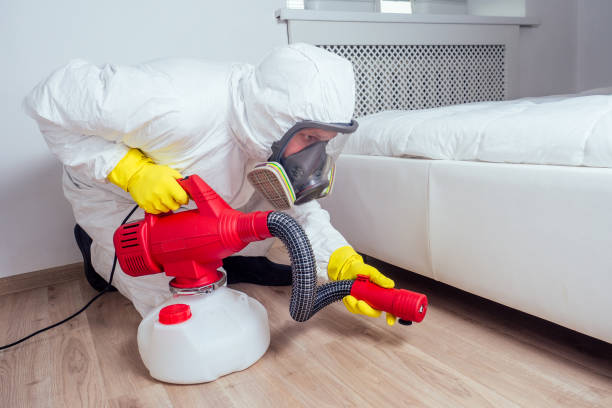 Best Cockroach Control Services  in Little Flock, AR