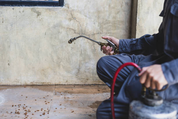 Pest Prevention Services in Little Flock, AR